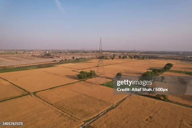 Agricultural Land Auction – Prime Farming Land Available auction on Maveshibids