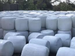 Feed & Fodder Auction – Silage, Hay & Bulk Feed Supplies auction on Maveshibids
